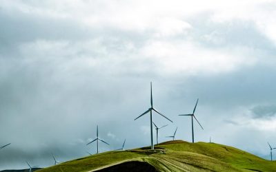 ¿Qué son las energías verdes y cuáles son?